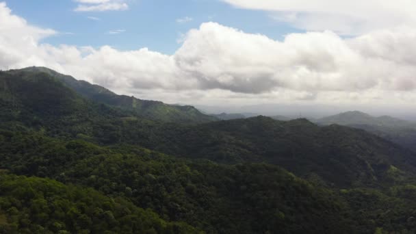 Вид Воздуха Зеленый Лес Джунгли Склонах Гор Шри Ланки — стоковое видео