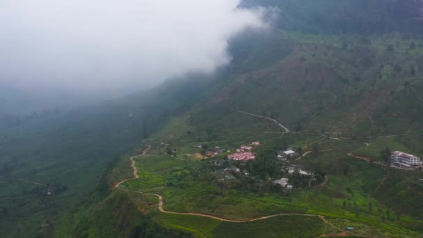 Λόφοι Φυτείες Τσαγιού Ανάμεσα Στα Βουνά Τσάι Estate Στη Σρι — Αρχείο Βίντεο