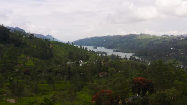 Aerial Drone Hills Tea Plantations Lake Mountains Maskeliya Castlereigh Sri — Vídeo de Stock