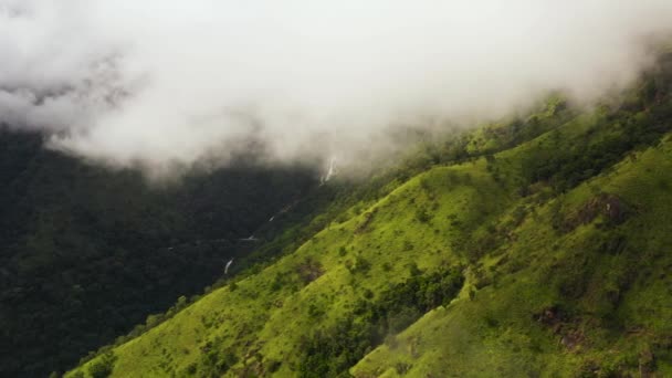Drone Aérien Paysage Montagne Avec Des Sommets Montagne Couverts Forêt — Video