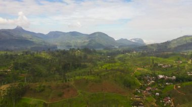 Aerial view of Tea plantation on top of mountain. Tea estate landscape, Sri Lanka.