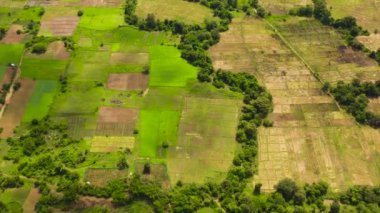 Agricultural land and rice fields in the countryside view from above. Sri Lanka.