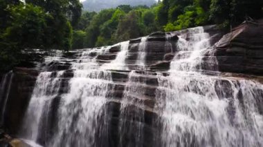Yağmur ormanlarındaki şelale, orman. Olu Ella Şelalesi 'nin hava aracı, Sri Lanka