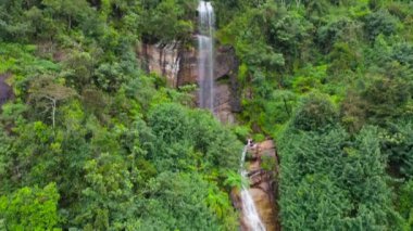 Yeşil bitki örtüsüyle çevrili tropikal bir ormanda orman şelalesi. Sri Lanka.