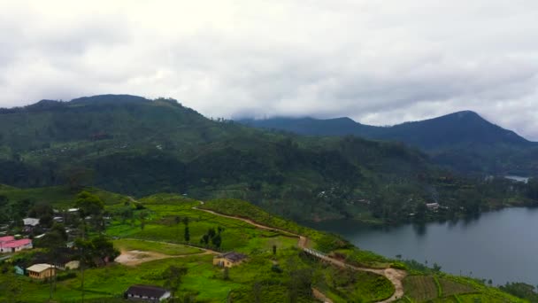 Drone Aéreo Lago Uma Área Montanhosa Entre Plantações Chá Maskeliya — Vídeo de Stock