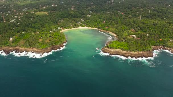 Top View Beach Bay Place Surfing Hiriketiya Beach Sri Lanka — Stok video