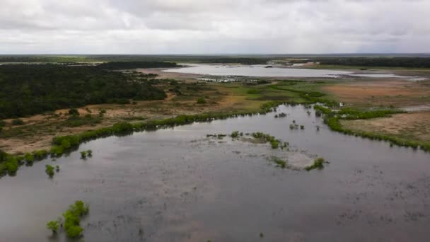 Aerial Drone Wetlands Lakes Tropical Vegetation Natural Habitat Animals Sri — Stock Video