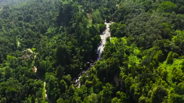 Воздушный Беспилотник Джунглей Олу Элла Водопад Тропическом Лесу Окружении Зеленой — стоковое видео