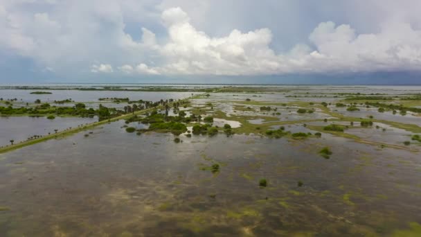 Затопленные Земли Шри Ланки Сезон Дождей — стоковое видео