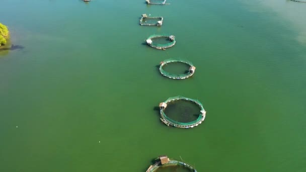 Повітряний Вид Рибну Ферму Клітками Риби Креветок Рибні Ставки Бангсу — стокове відео