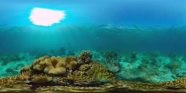 Arrecife Coral Bajo Agua Con Peces Vida Marina Arrecife Coral — Foto de Stock