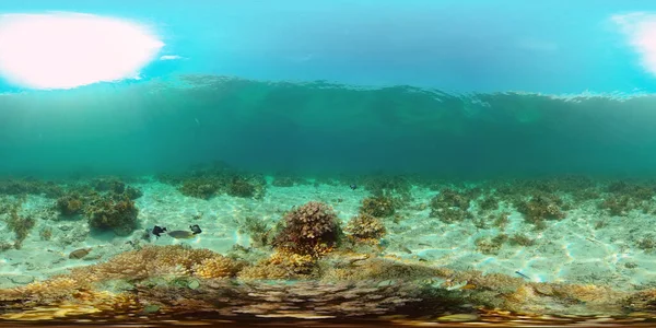 Vackert Undervattenslandskap Med Tropiska Fiskar Och Koraller Hårda Och Mjuka — Stockfoto