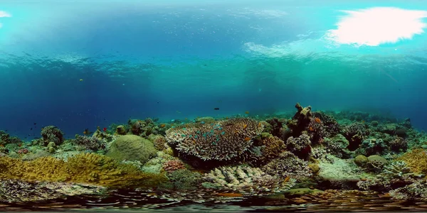 Tropicale Colorato Mare Subacqueo Mondo Sottomarino Con Pesci Colorati Una — Foto Stock