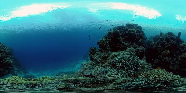Undervattens Korallrev Undervattensfisk Tropiskt Rev Marint Färgglada Undervattenslandskap Filippinerna Virtuell — Stockfoto