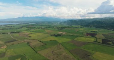 Şeker kamışı ve pirinç tarlaları olan tarım arazileri. Zenciler, Filipinler