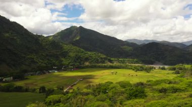Tarım arazisi ve yeşil ormanlı dağların havadan görünüşü. Filipinler.