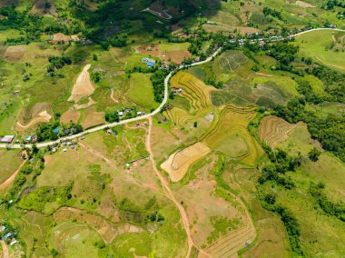 Kırsal kesimde tarım arazisi olan tarımın havadan görünüşü. Zenciler, Filipinler