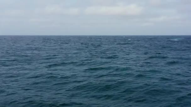 Denizde Ufuk Çizgisi Kopya Alanı Mavi Suyu Olan Açık Deniz — Stok video