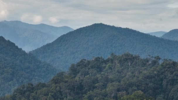 Légi Kilátás Hegyi Lejtők Borított Esőerdő Dzsungel Szumátra Indonézia — Stock videók