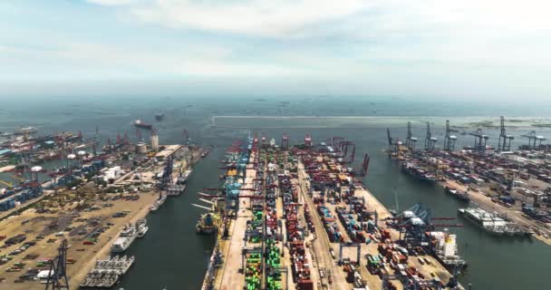 装卸区有集装箱船和起重机的海港 坦承普锐克海港 印度尼西亚 — 图库视频影像