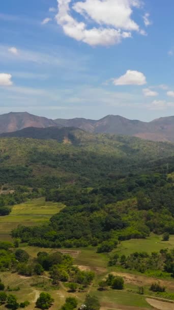 Dağların Mavi Gökyüzünün Arka Planında Bitkiler Olan Tarım Arazisi Filipinler — Stok video