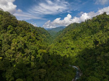 Dağ sıralarında ve dağ yamaçlarında yağmur ormanları olan insansız hava aracı. Bukit Lawang. Sumatra, Endonezya.