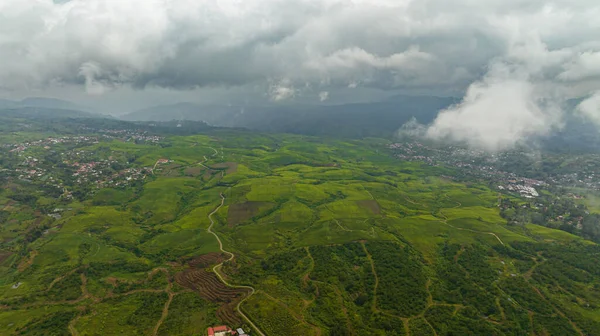 高原地区绿茶种植园的俯瞰 苏门答腊的茶园景观 Kayu Aro 印度尼西亚 — 图库照片