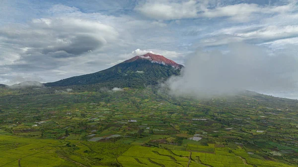 Drohnen Von Ackerland Und Teeplantagen Neben Dem Mount Kerinci Sumatra — Stockfoto