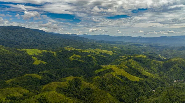 Sommets Montagneux Recouverts Forêt Par Haut Sumatra Indonésie — Photo