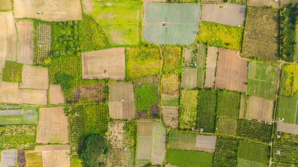 Kırsal Kesimdeki Tarım Arazilerinin Insansız Hava Aracı Sumatra Tarım Arazisi — Stok fotoğraf