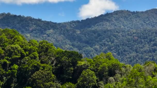 Letecký Pohled Hory Pokrýval Deštný Prales Stromy Modrou Oblohu Mraky — Stock video