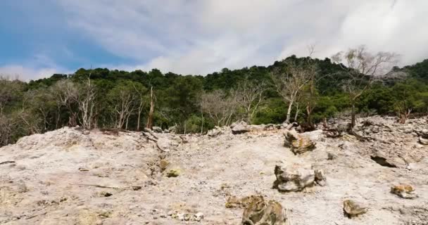 Vulkanische Landschaft Mit Welken Bäumen Nach Einem Vulkanausbruch Dschungel Weh — Stockvideo