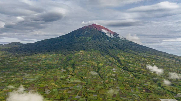 Luftaufnahme Von Ackerland Und Teeplantagen Neben Dem Mount Kerinci Sumatra — Stockfoto