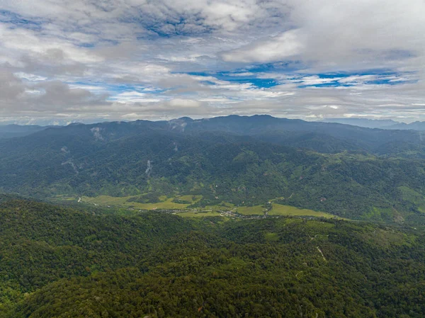 长满常绿植物的山顶景色 热带风景 印度尼西亚苏门答腊 — 图库照片