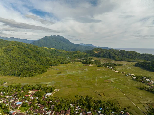 Rizsföldek Mezőgazdasági Területek Légi Drónja Szumátra Hegyeiben Indonézia — Stock Fotó
