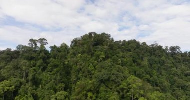 Dağ sırasının havadan görünüşü ve yağmur ormanlarıyla kaplı yamaçlar. Bukit Lawang. Sumatra, Endonezya.