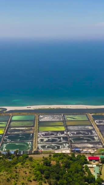Letecký Dron Garnátové Farmy Okysličovací Vodou Čerpadla Provzdušňovače Filipíny Svislé — Stock video