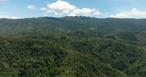 Bergen Bedekt Regenwoud Bomen Blauwe Lucht Met Wolken Sumatra Indonesië — Stockvideo
