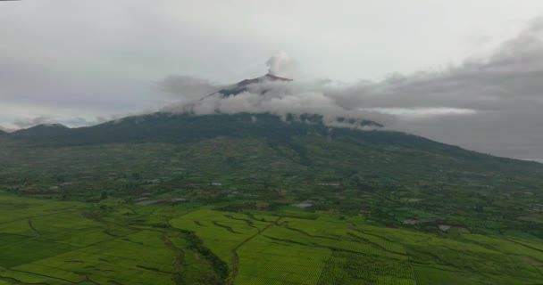 Légi Felvétel Kayu Aro Teaültetvényről Kerinci Vulkánról Tea Birtok Trópusokon — Stock videók