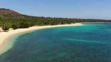 Tropikal sahildeki palmiye ağaçlarının havadan görünüşü. Pagudpud, Ilocos Norte, Filipinler.