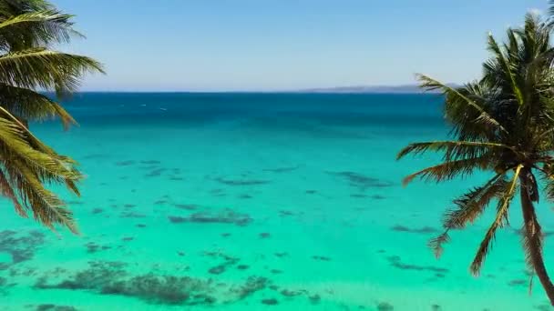 Beautiful Beach Palm Trees Turquoise Water View Pagudpud Ilocos Norte — Vídeo de stock