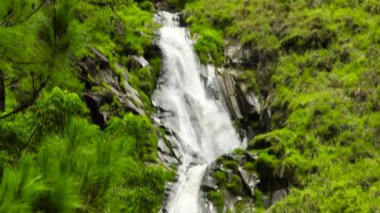 Sumatra dağlarında güzel Efrata şelalesi. Sumatra, Endonezya.