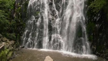 Tropikal bir ormanda yavaş çekimde Orman Şelalesi. Efrata Şelalesi. Sumatra, Endonezya.