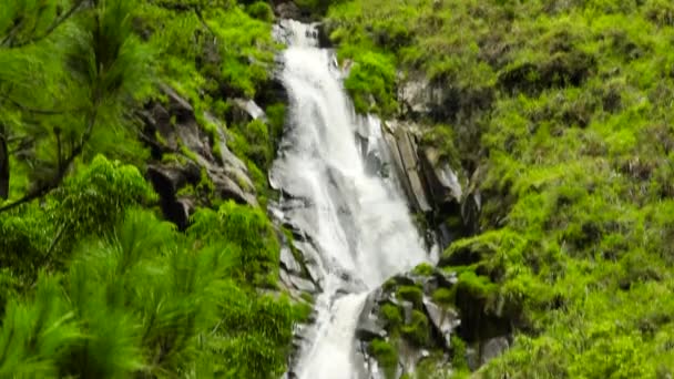 苏门答腊山上美丽的埃夫拉塔瀑布 印度尼西亚苏门答腊 — 图库视频影像