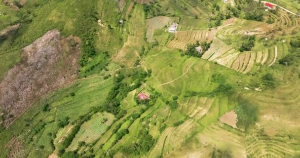 Vista Aérea Tierra Agrícola Entre Montañas Colinas Campo Isla Cebú — Vídeo de stock
