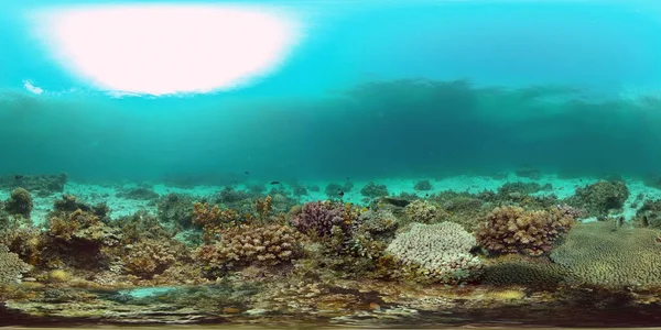 Havskorallrev Vatten Tropiska Havet Seascape Tropiskt Fiskrev Marint Filippinerna Virtuell — Stockfoto