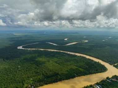 Kinabatangan nehrinin hava aracı yağmur ormanları ve ormanların arasında. Borneo, Malezya.