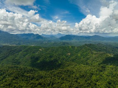 Borneo 'daki dağlar ve yeşil tepeler. Dağların yamaçlarında hep yeşil bitkiler olur. Malezya.