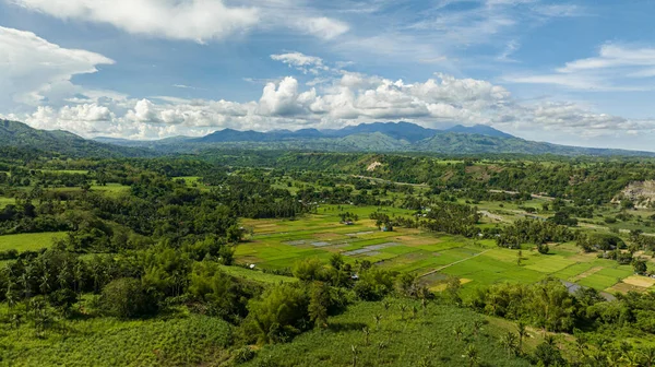 山区山谷 有农田和稻田 Negros 菲律宾 — 图库照片