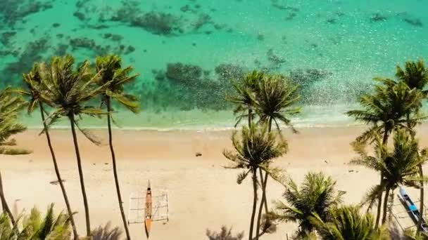 ヤシの木と波と海のサーフィンで美しい砂浜のトップビュー Pagudpud イロコス ノルテ フィリピン — ストック動画